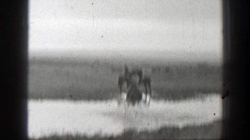 Distant horseback riders move near a reflective stream in the Montana grassland, with focus softened by the 8mm film image.