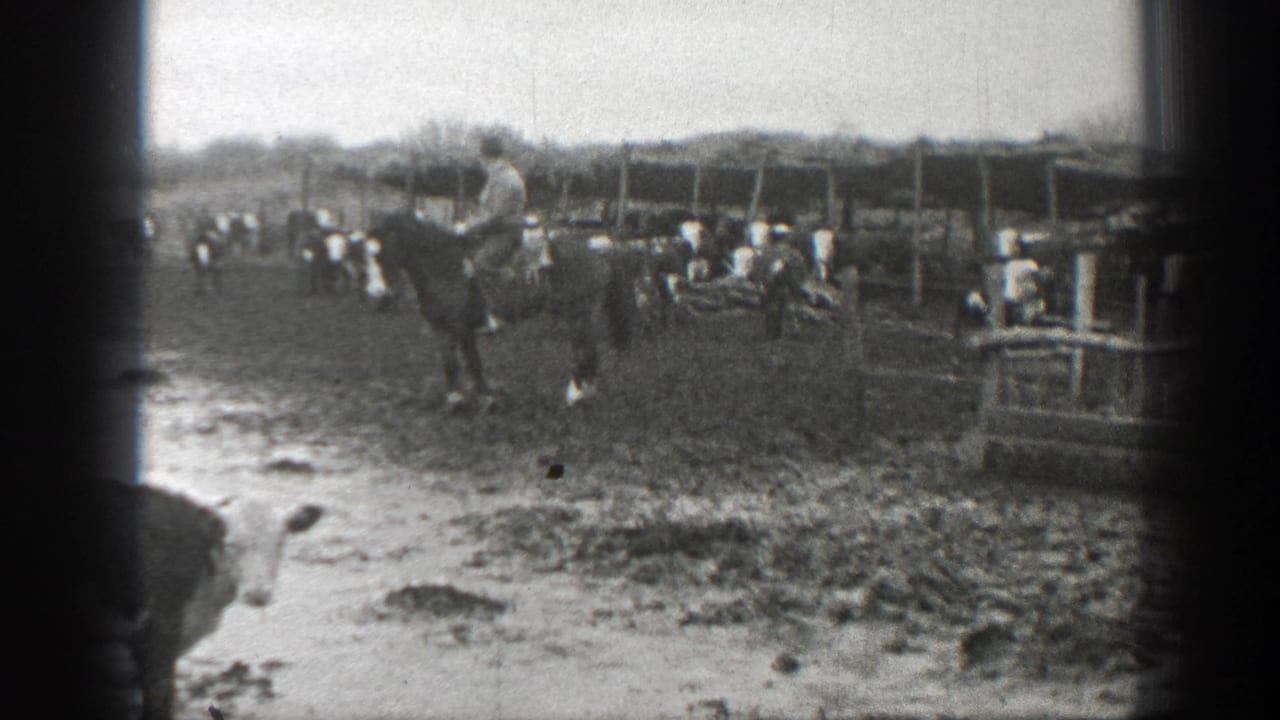 Mounted man rides through a muddy cattle pen with cows nearby.