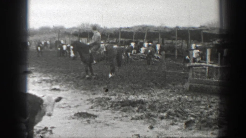 In 1939 Montana ranch footage, a man on horseback moves through a muddy pen with cattle and wooden rail enclosures.