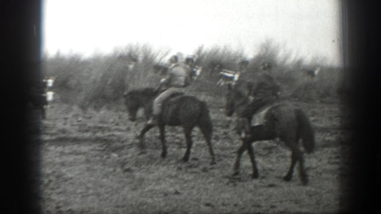 Riders on horseback move among cattle in an open field.