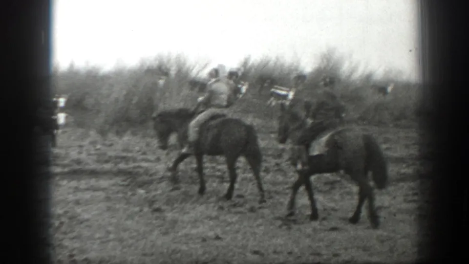 Mounted riders appear to guide cattle across an open Montana field in the 1939 black-and-white home-movie frame.