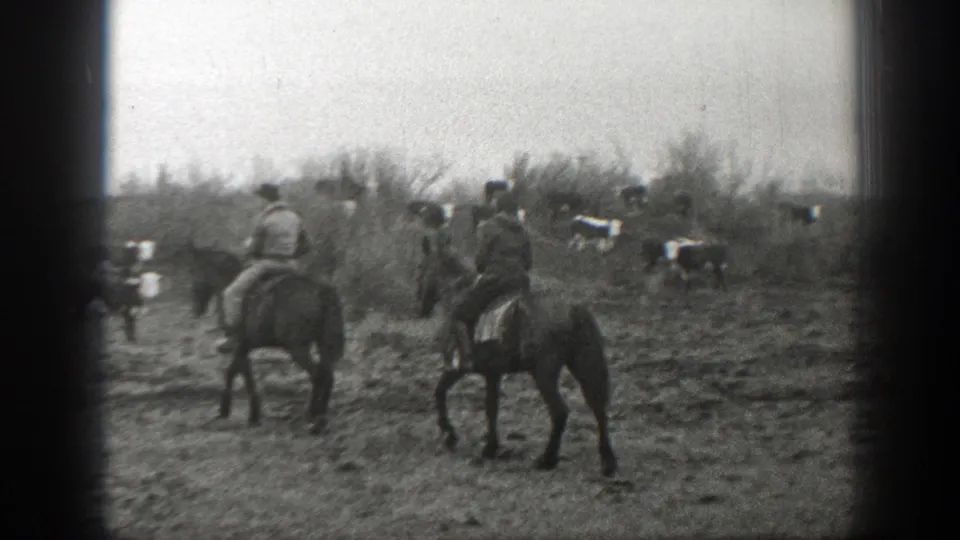 Two riders on horseback are seen from behind as cattle spread across a rough Montana field in archival 8mm footage.