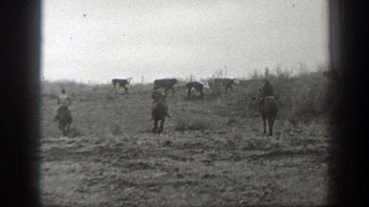 Riders on horseback move across open pasture with cattle near the horizon.