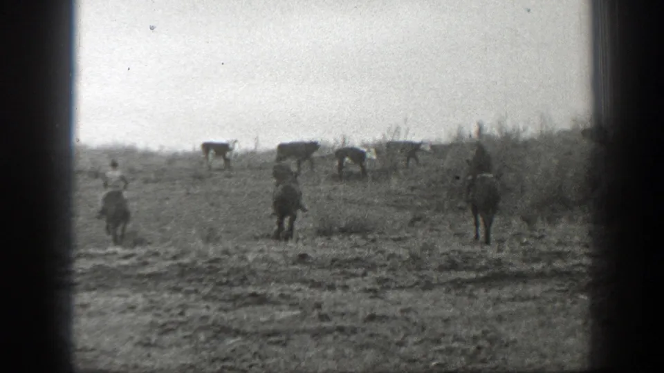 1939 Montana ranchers on horseback appear to guide cattle across a rough open pasture under a pale sky.