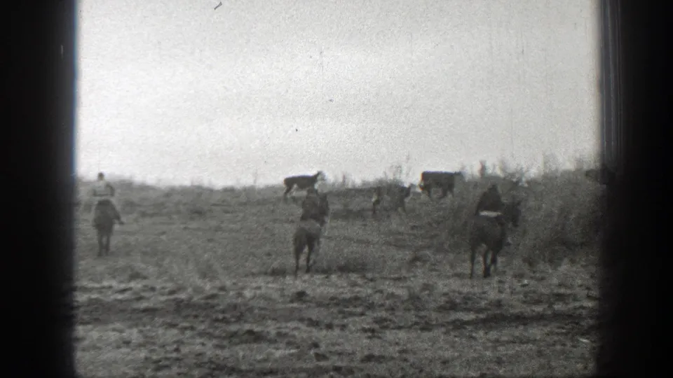 Riders in 1939 Montana continue moving behind cattle across a sloping pasture bordered by low brush.