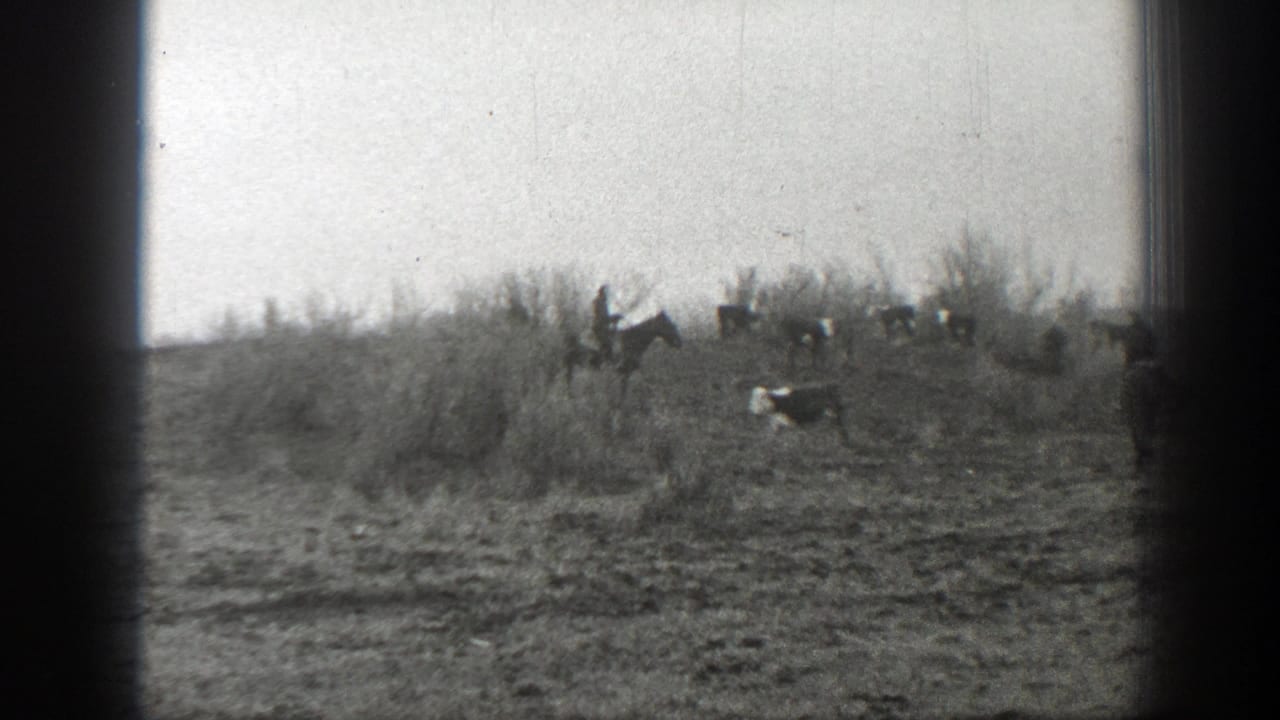 Distant cattle and horseback riders crossing a dry hillside.