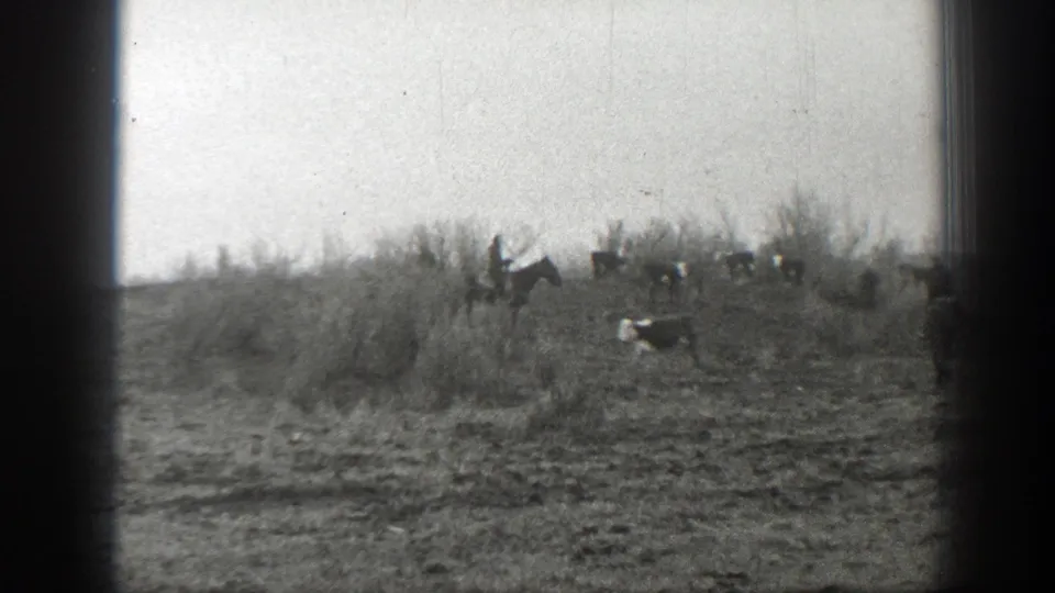 1939 Montana home-movie frame showing cattle and mounted riders spread across a dry, brushy hillside.