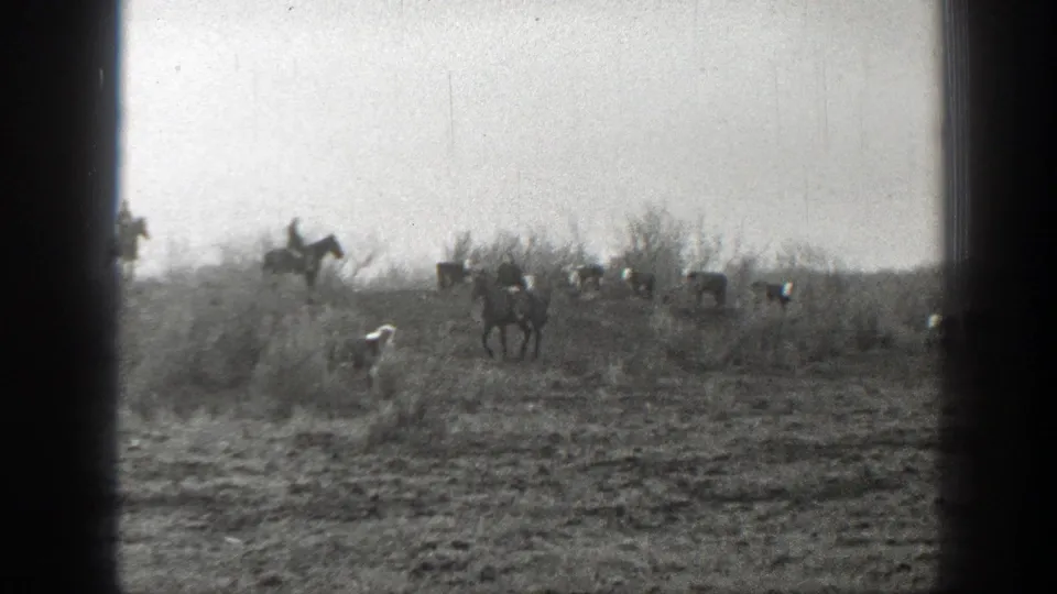 A mounted rider leads or watches scattered cattle moving across dry Montana pasture in the 1939 home movie.