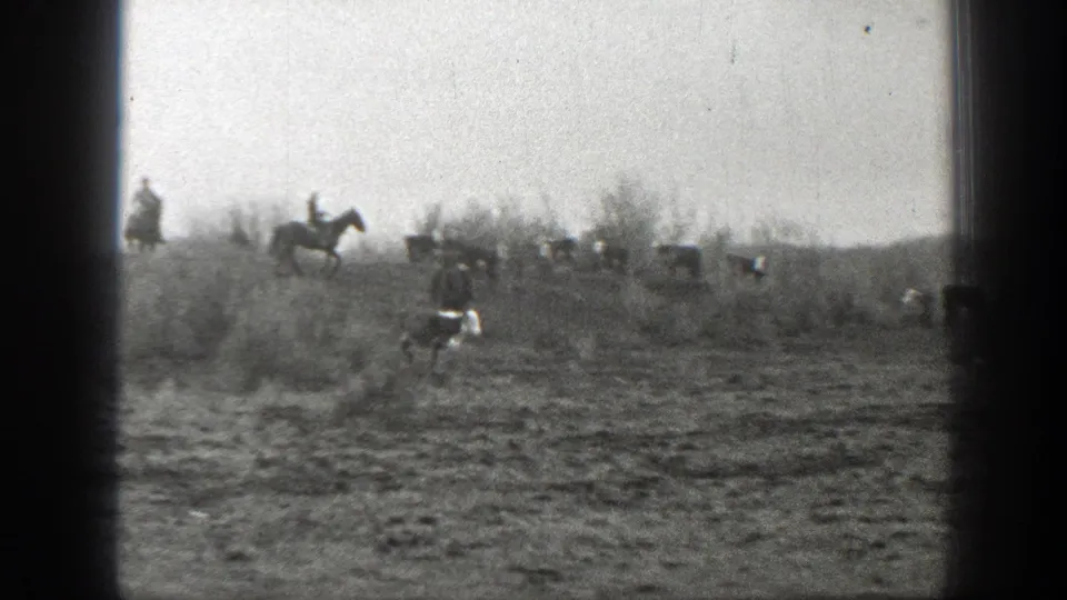 Distant rider on horseback and several cattle cross an open field in black-and-white 8mm Montana ranch footage.