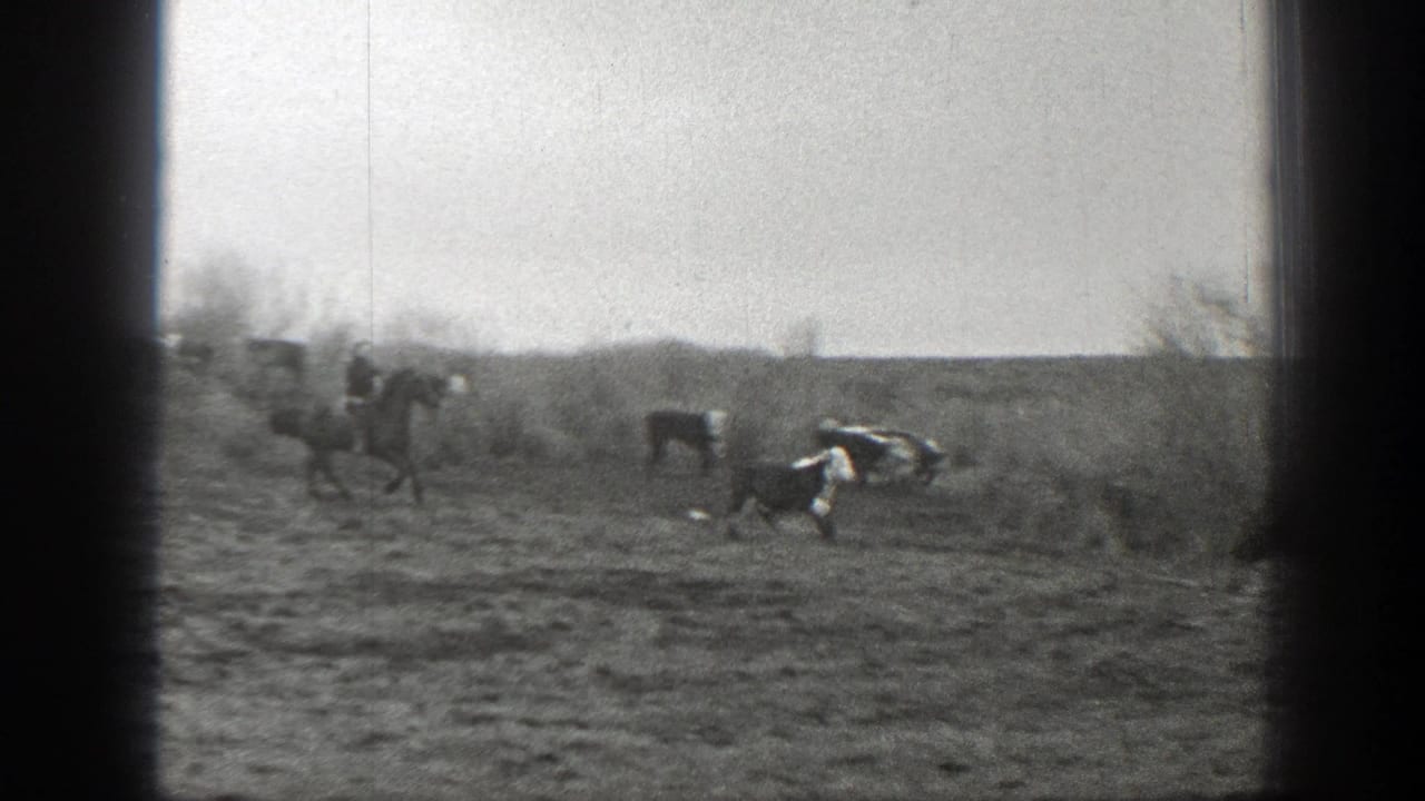 1939 Montana 8mm frame showing distant riders on horseback herding cattle across open ranch terrain.