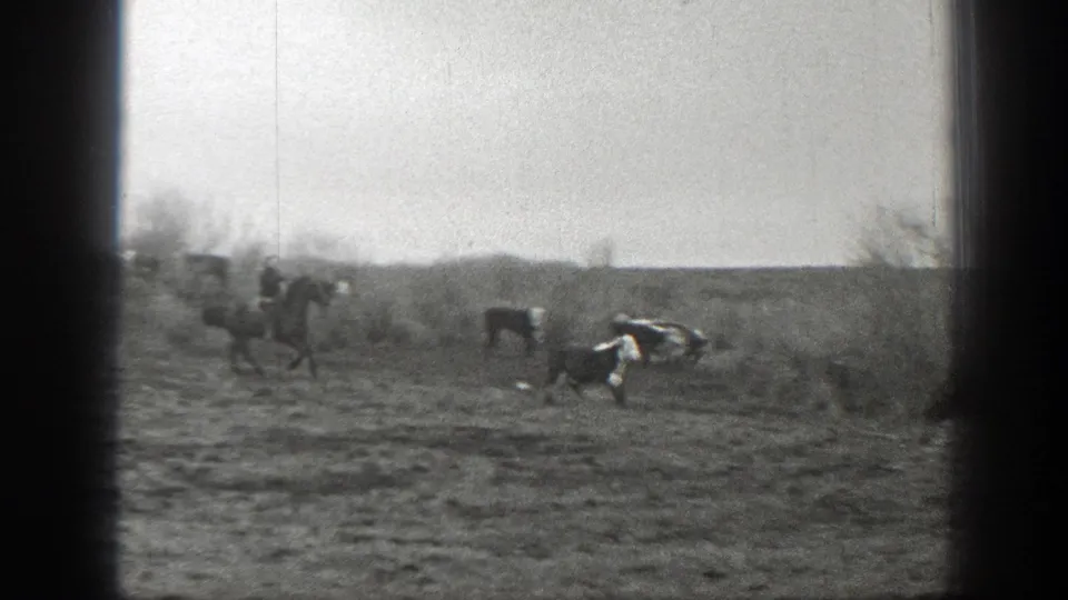 1939 Montana 8mm frame showing distant riders on horseback herding cattle across open ranch terrain.