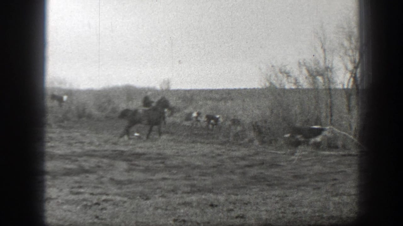 Horseback riders and cattle move along brush at the edge of a field.