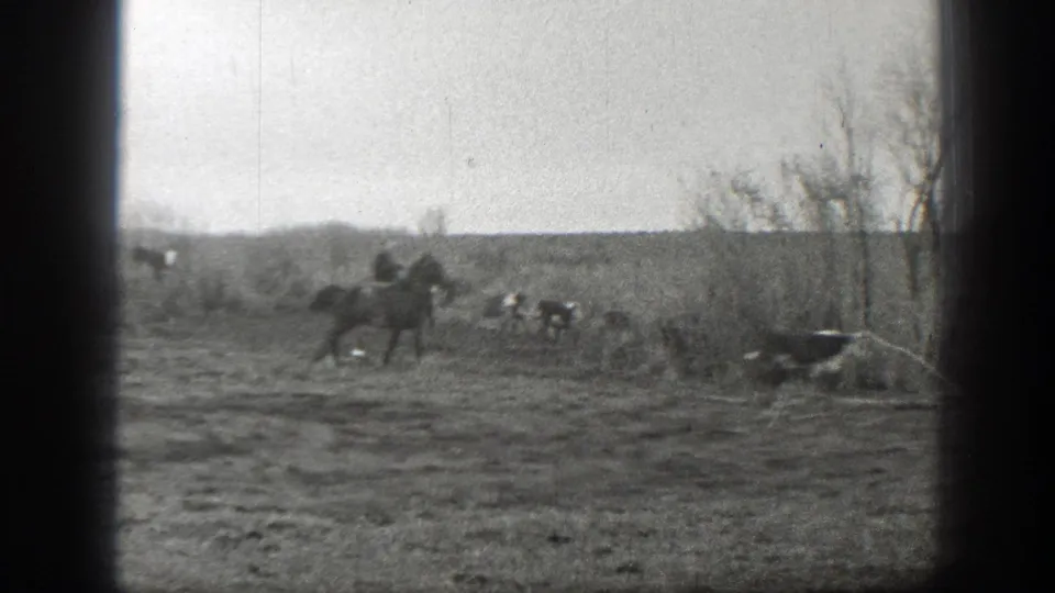 Distant riders and cattle cross a Montana field in grainy black-and-white 8mm footage from 1939.
