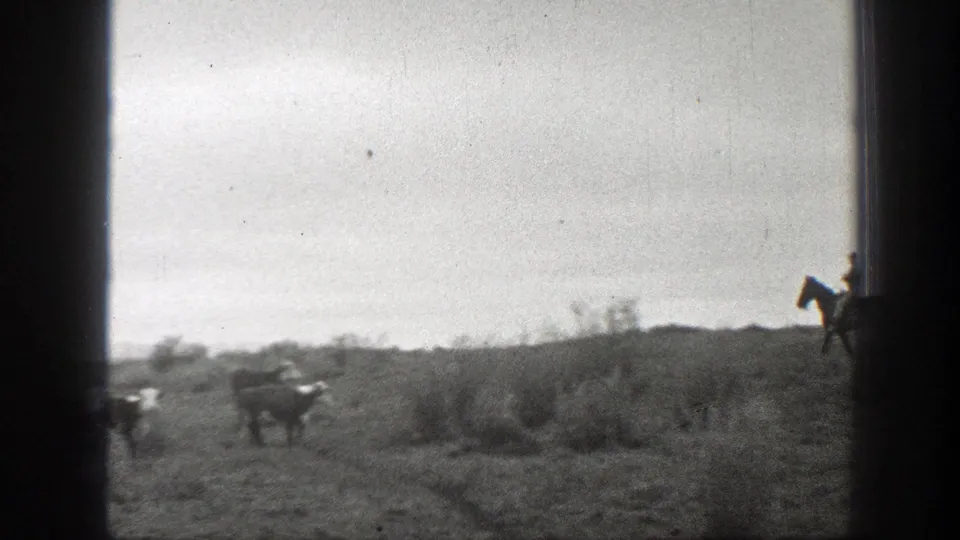 Final 1939 Montana frame with cattle scattered near brush and a horseback rider partly visible at the edge.