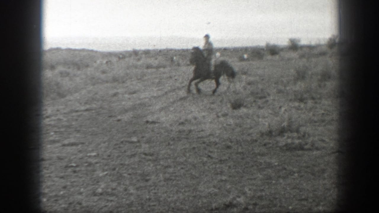Distant rider on horseback crossing open pasture.