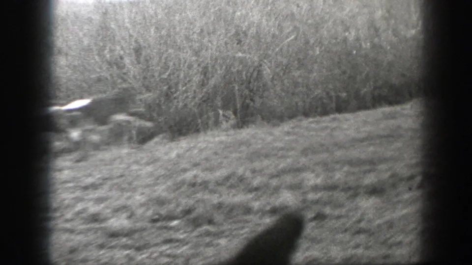 Handheld black-and-white view of brushy pasture, with motion blur and the edge of the film frame visible.