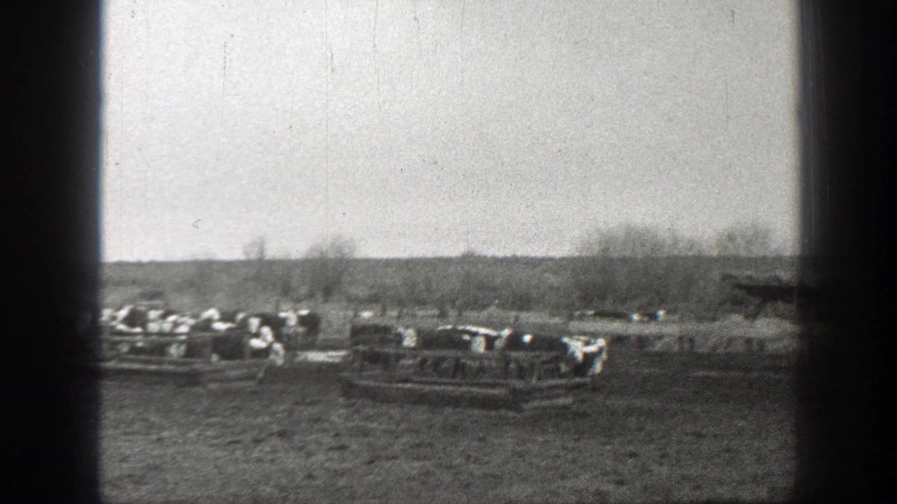 1939 Montana 8mm frame showing cattle near rough pens in an open rural field with bare trees and distant hills.