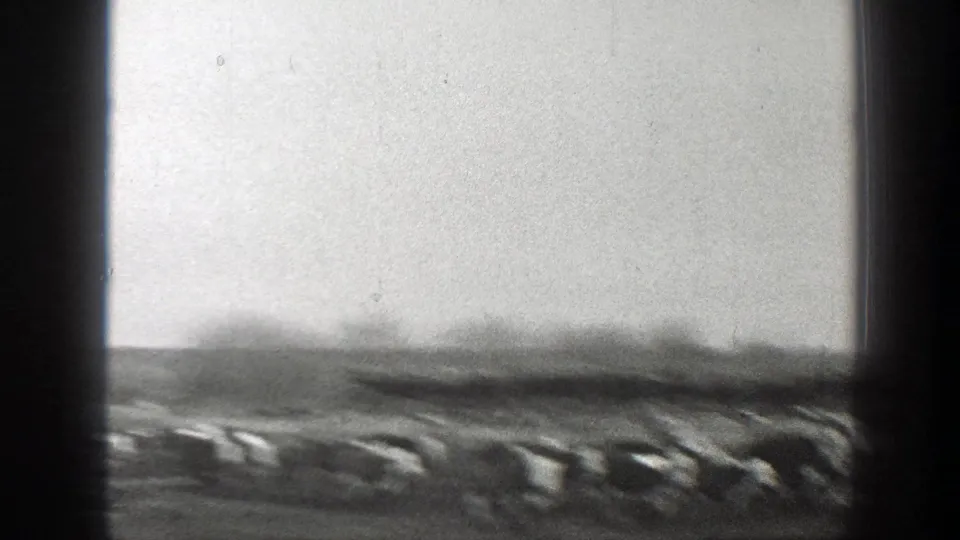 1939 Montana 8mm frame showing a cattle herd moving across an open pasture under a bright sky.