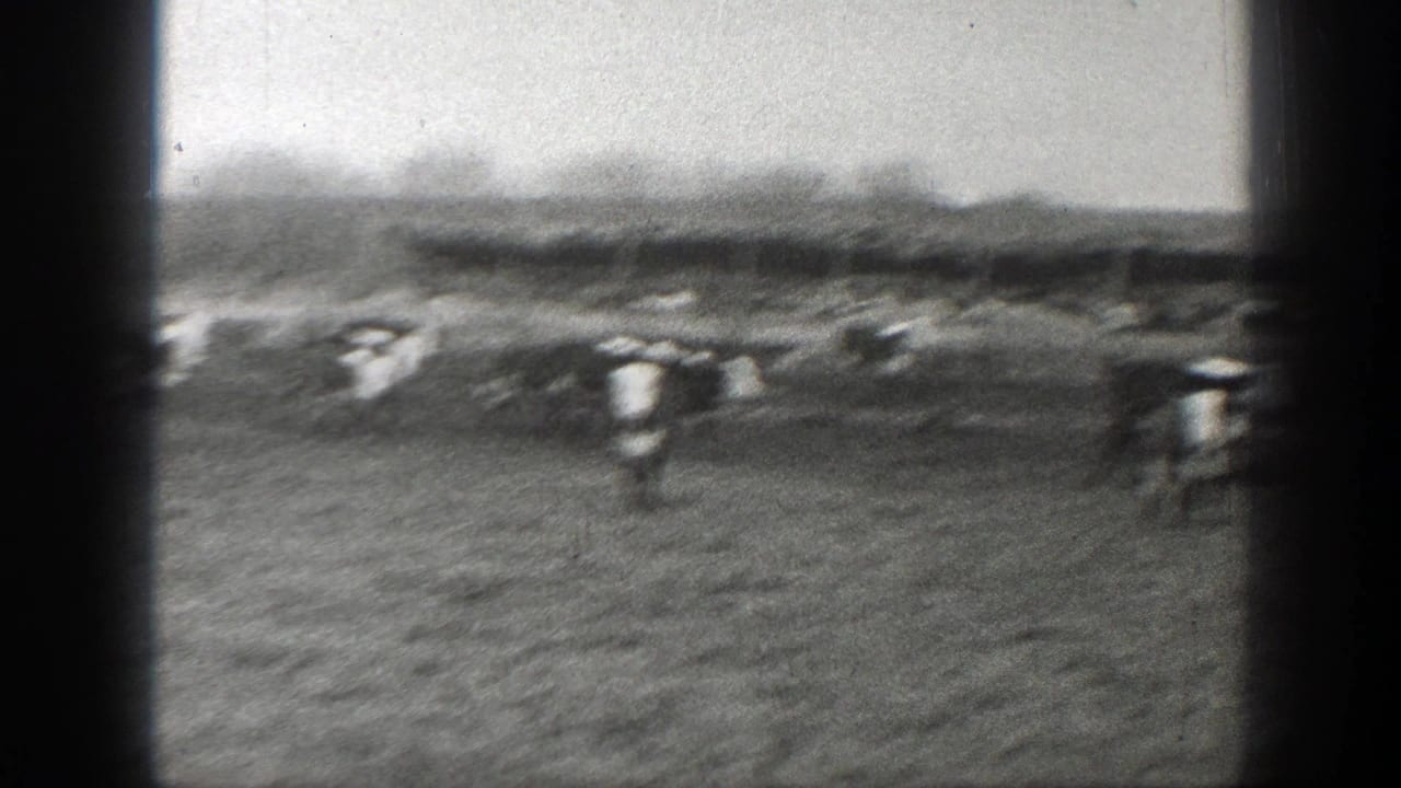A cattle herd crosses a field with low hills in the distance.