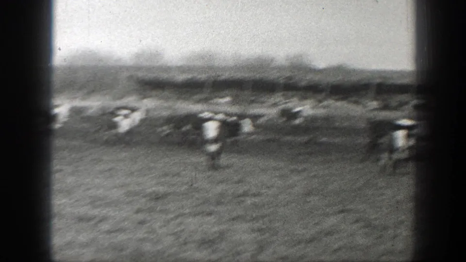 Black-and-white 8mm view of cattle walking across a Montana field with a distant hillside beyond.