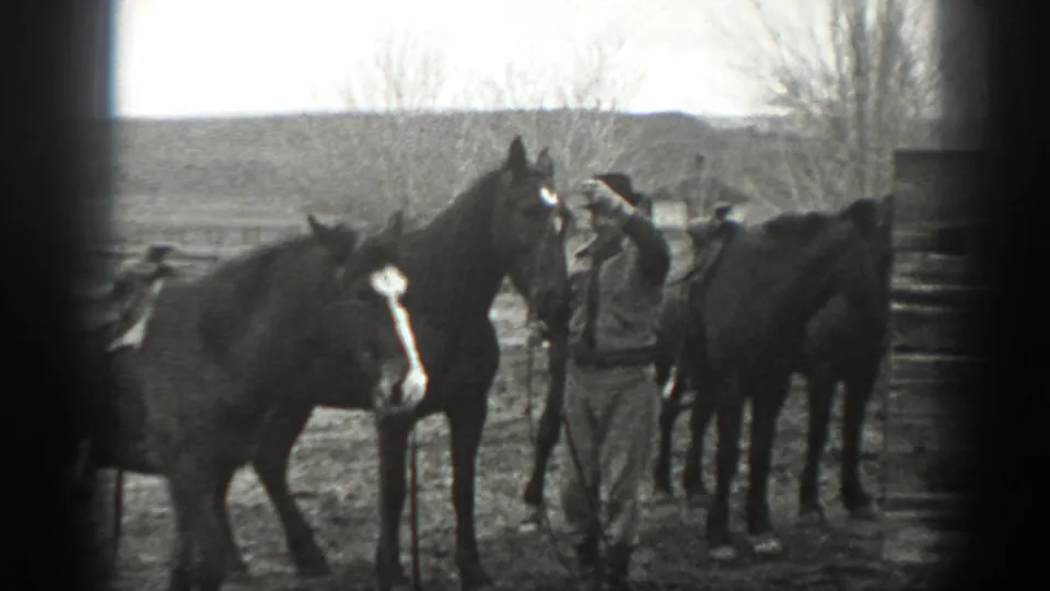 In 1939 Montana home-movie footage, a man in work clothes stands close to horses in a rural paddock.