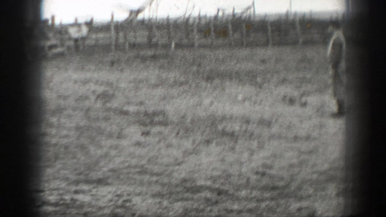 Open paddock with fencing and a partial figure at the frame edge.