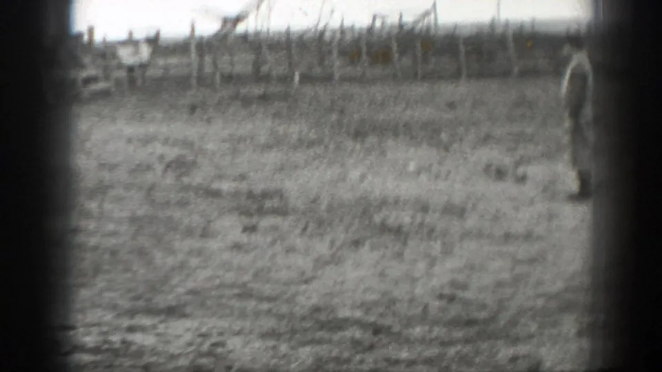 A rural Montana paddock appears with bare trees, fencing, open ground, and a partial person at the right edge.