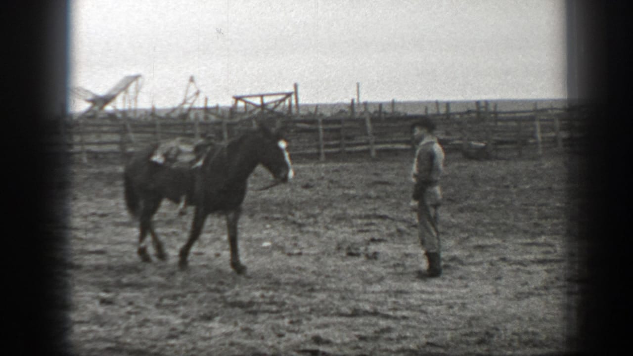 Saddled horse walks toward a man standing in a dusty corral.
