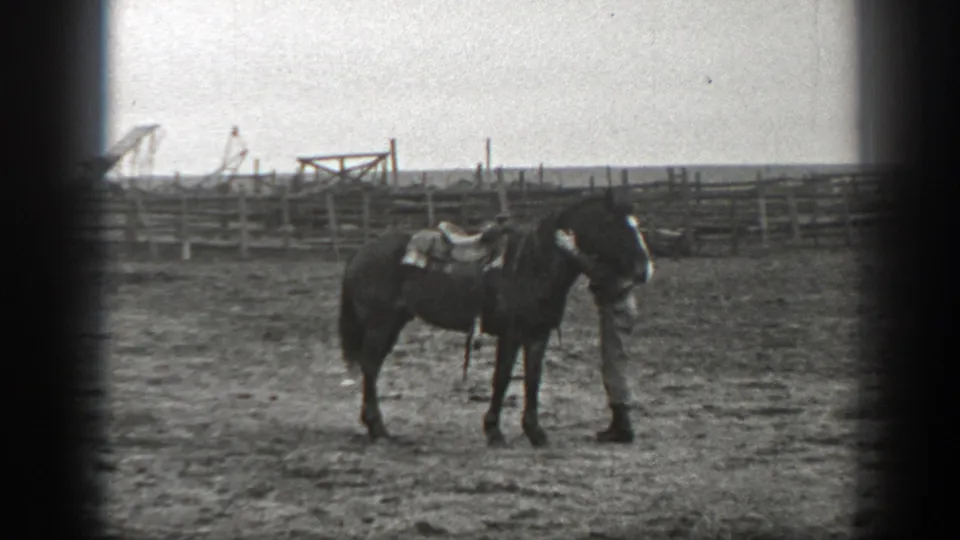 In the fenced Montana corral, the man appears to hold or adjust the horse's bridle while the saddled animal stands still.