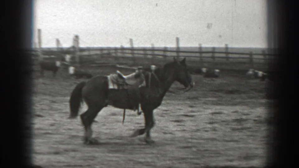 The saddled horse walks across the dusty Montana corral, leaving the man partly visible near the edge of the frame.