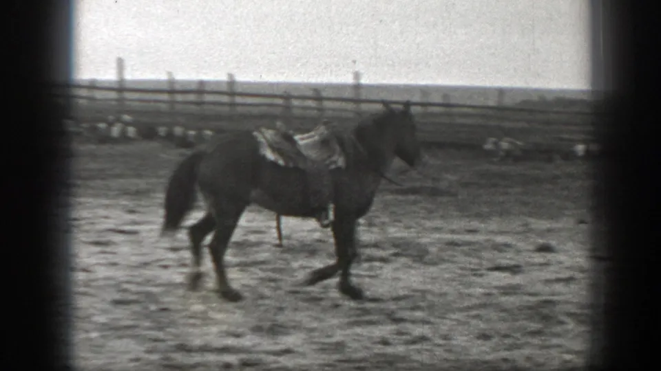 1939 Montana home-movie frame of a saddled horse in a fenced ranch enclosure, with cattle resting beyond the rail fence.