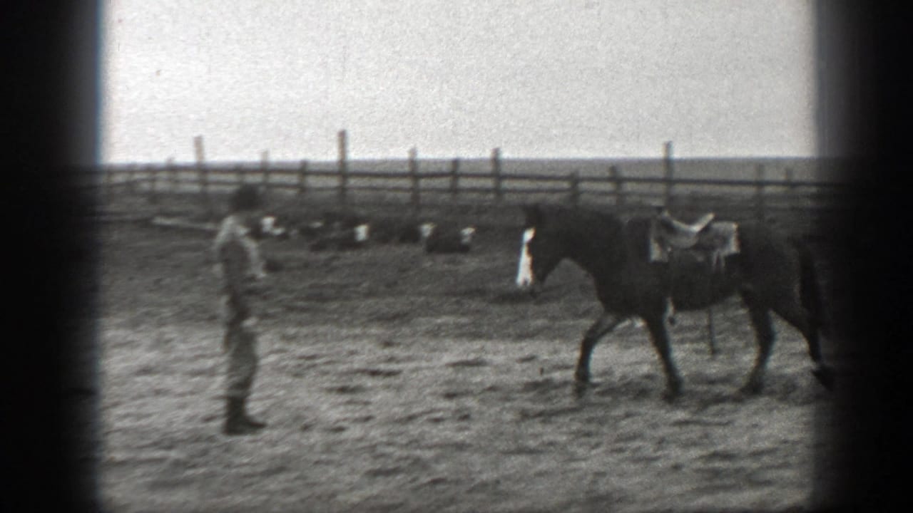Person stands near a saddled horse walking across a fenced ranch enclosure.