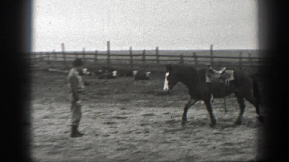 A person in work clothes watches a saddled horse move through a fenced Montana ranch enclosure in 1939 footage.