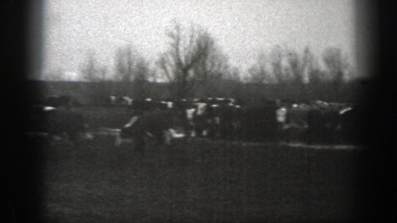 1939 Montana ranch footage frame with cattle scattered across pasture under a pale sky, with trees and hills beyond.