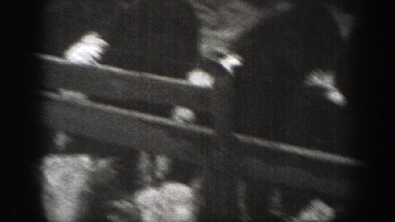 Close, soft-focus home-movie view of cattle behind a wooden rail fence in rural Montana.