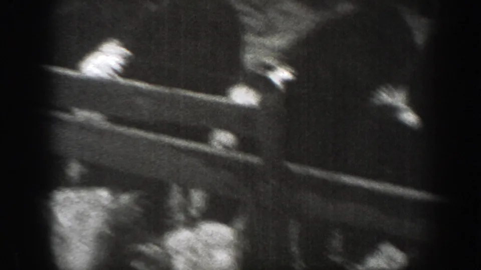 Close, soft-focus home-movie view of cattle behind a wooden rail fence in rural Montana.