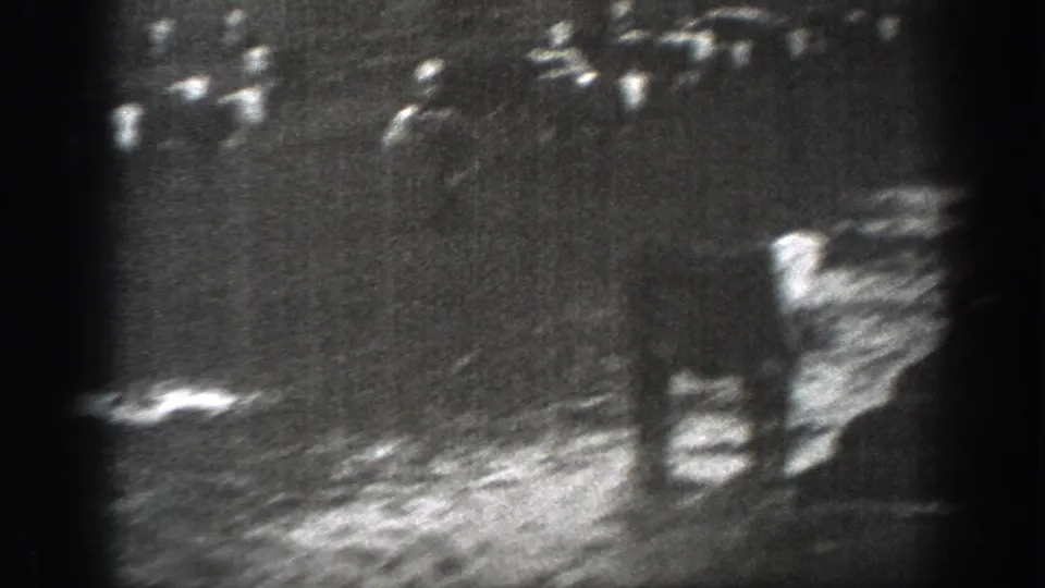 Grainy 1939 Montana 8mm frame showing cows spread across a rural pasture, with soft focus and strong edge shadowing.