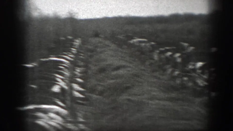 Black-and-white Montana farm frame with cows along pale hay or field rows, distant landforms, and a soft handheld 8mm look.