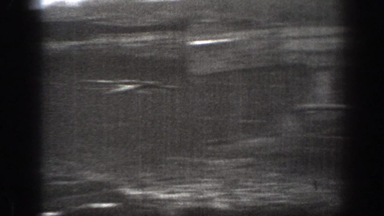Soft, high-contrast 1939 Montana 8mm frame showing a blurred pasture area with horizontal light streaks and strong film grain.