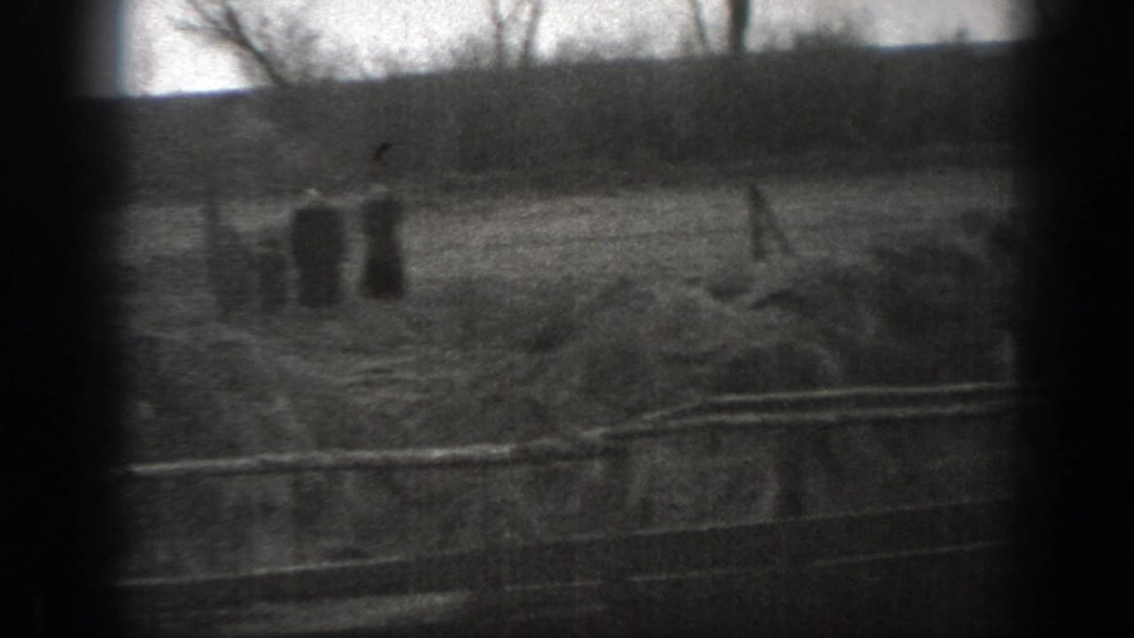 Cattle and a dark-clothed person near a fenced waterhole in open pasture.