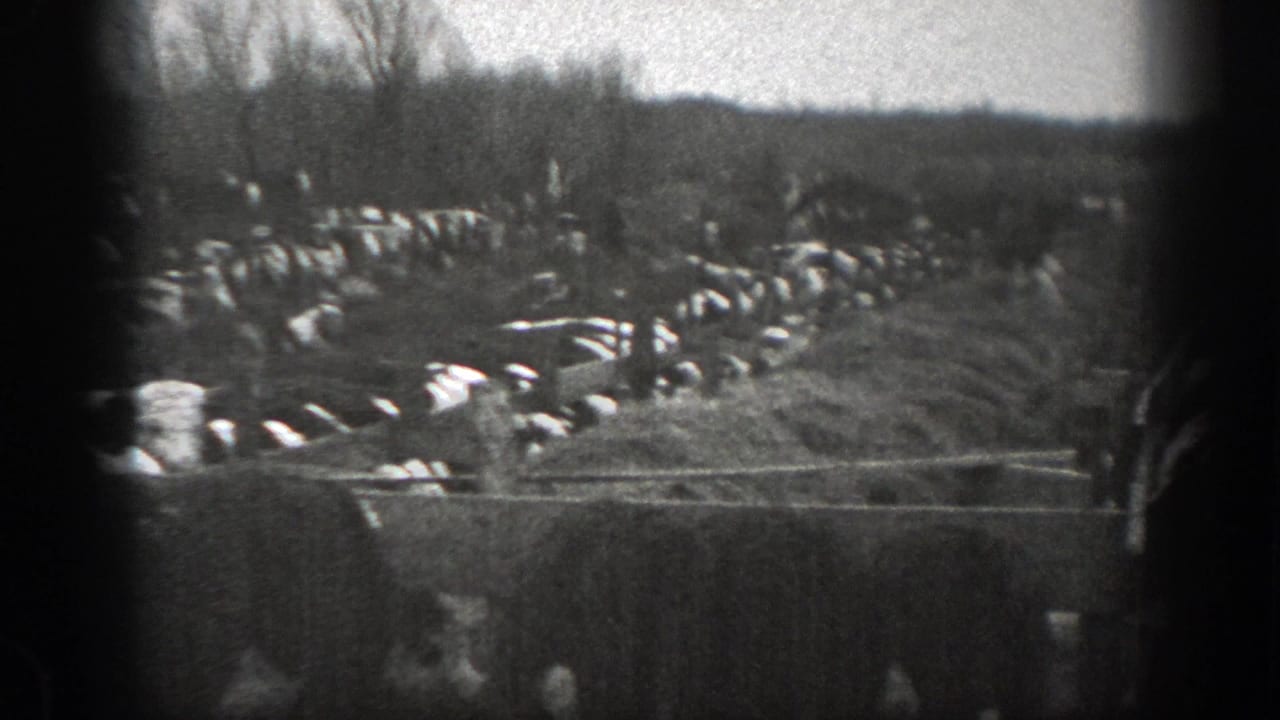 1939 Montana 8mm frame showing many cattle around a muddy waterhole, seen past wooden fence rails and winter-bare trees.