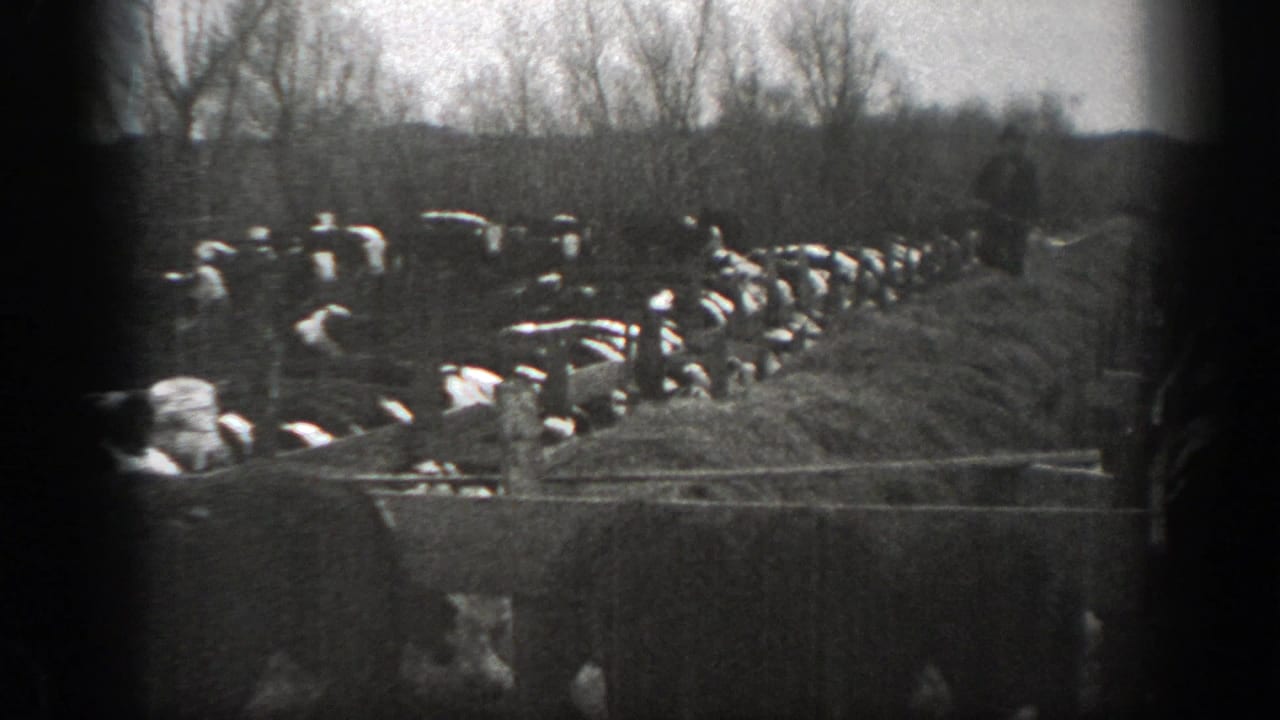 1939 Montana 8mm frame of cattle gathered at a muddy waterhole, framed by fence rails, bare trees, and open pasture.