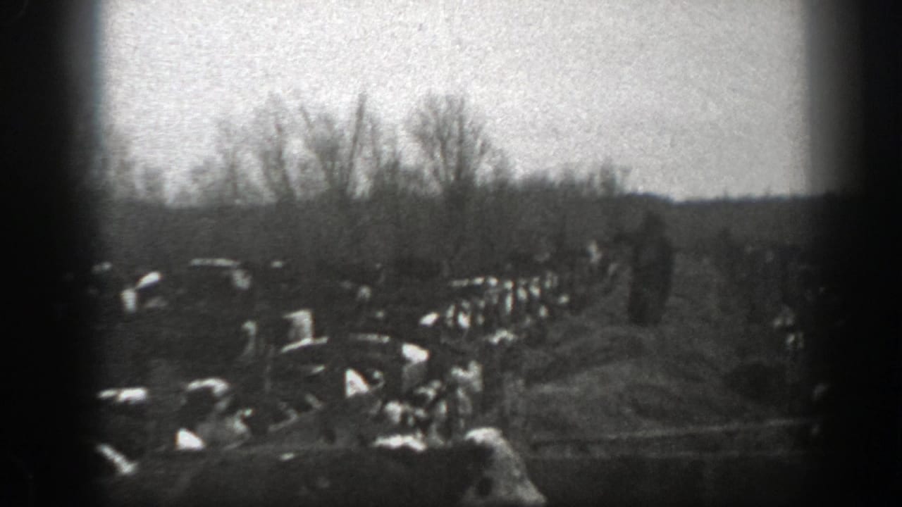 A distant farmer works near hay on a Montana ranch in 1939, with cows gathered across the field.