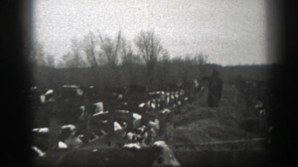 A distant farmer works near hay on a Montana ranch in 1939, with cows gathered across the field.