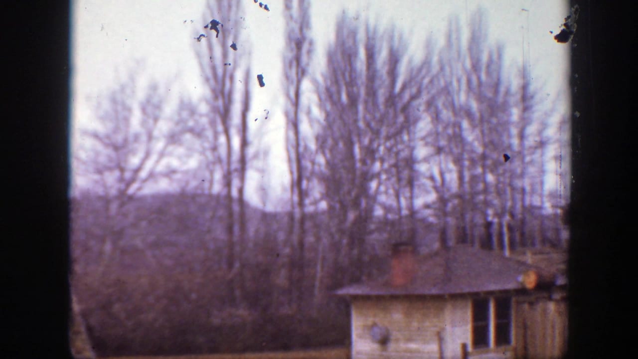 1939 Montana home-movie frame showing a small rural building, open doorway, bare trees, and yard under pale daylight.