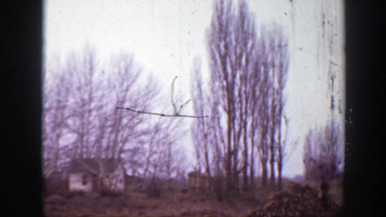 Rural Montana hillside view with leafless trees, small buildings, and a quiet overcast sky, consistent with 1939 home-movie footage.
