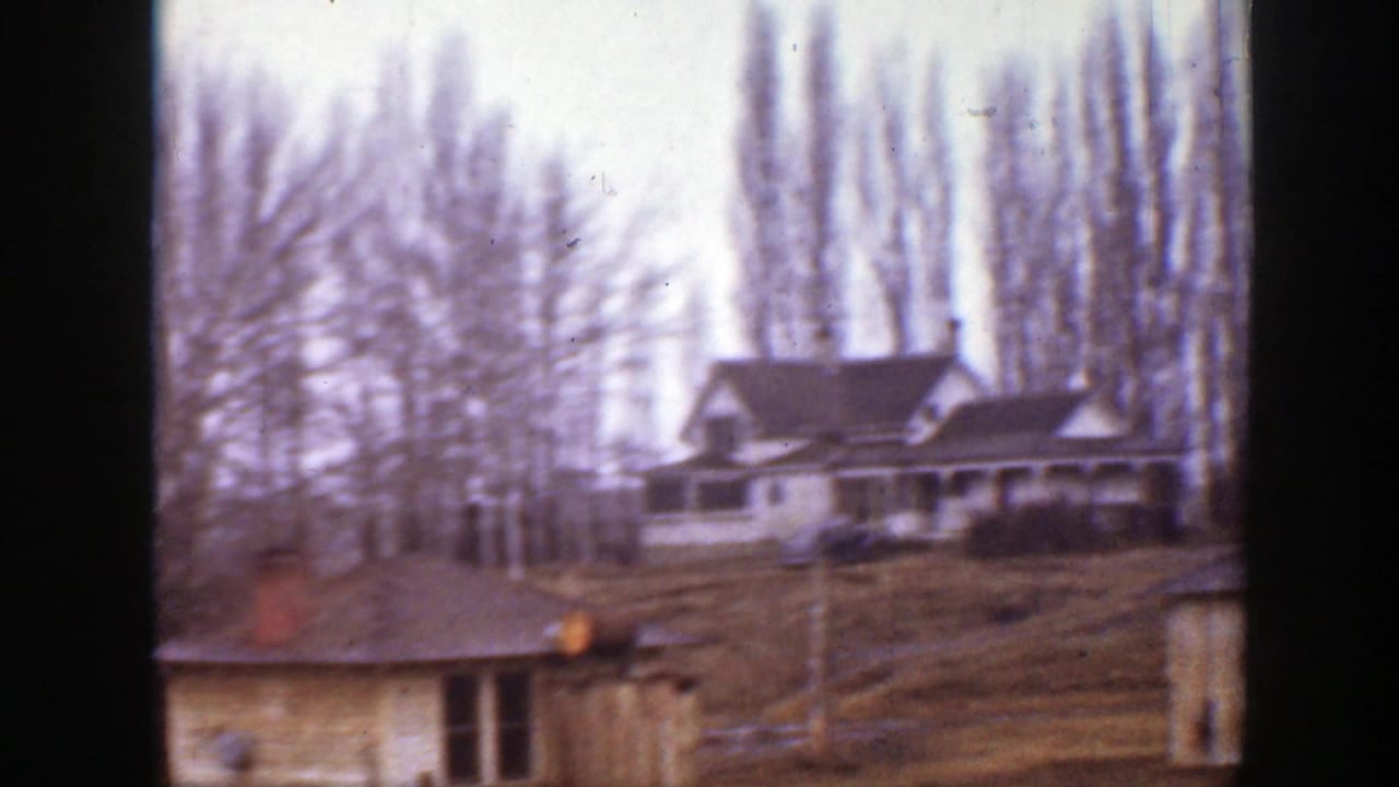 Farmhouse beyond a small outbuilding with tall bare trees behind it.