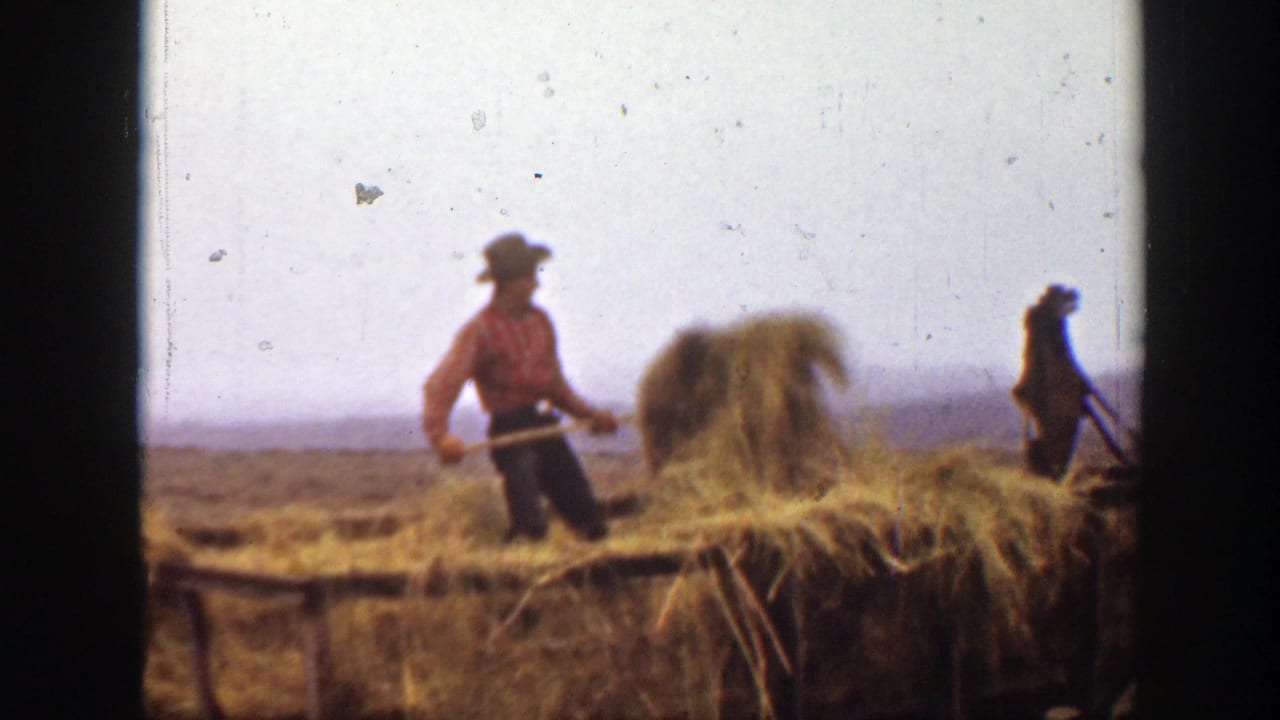 1939 Montana farm work frame showing a worker using a pitchfork near loose straw, with another person farther back in the field.