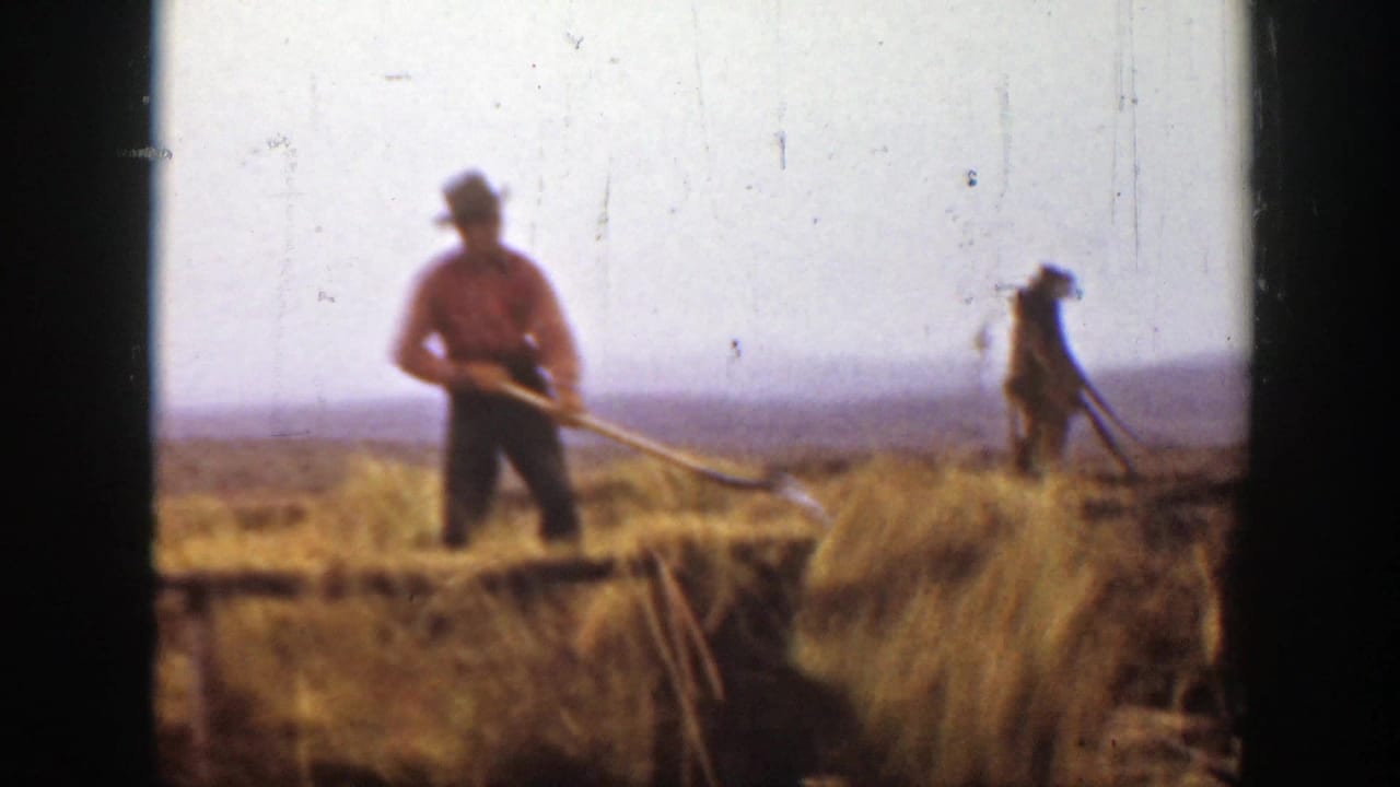 A man in a red shirt stands on a hay wagon in a Montana field, holding a pitchfork as another worker remains near the hay.