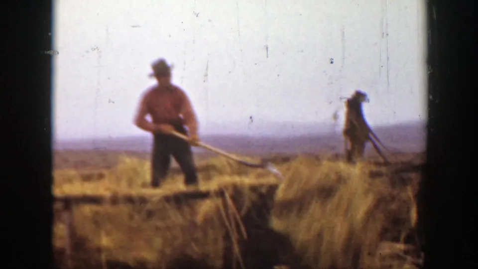 A man in a red shirt stands on a hay wagon in a Montana field, holding a pitchfork as another worker remains near the hay.